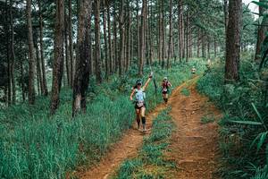 BIB: 
                            <button type="button" onclick="openModal(25652930)" class="btn btn-primary btn-sm float-right btn-popup" data-toggle="modal" data-target=".modal-high-quality">
                        <i class="fas fa-shopping-cart"></i> Add to Cart
                    </button>
                                            <button type="button" onclick="isThisMe(25652930, true)" class="btn btn-success btn-sm float-right btn-popup btn-isme hidden" data-toggle="tooltip" data-placement="bottom" title="นี่คือรูปของคุณใช่ไหม คลิกที่นี่เพื่อเอาเข้าอัลบั้ม">
                        <i class="fas fa-plus"></i> Add to album
                    </button>
                    <button type="button" onclick="isThisMe(25652930, false)" class="btn btn-warning btn-sm float-right btn-popup btn-isnotme hidden">
                        <i class="fas fa-ban"></i> Remove from album
                    </button>